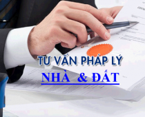 TƯ VẤN, GIẢI QUYẾT TRANH CHẤP, THỰC HIỆN DỊCH VỤ NHÀ ĐẤT